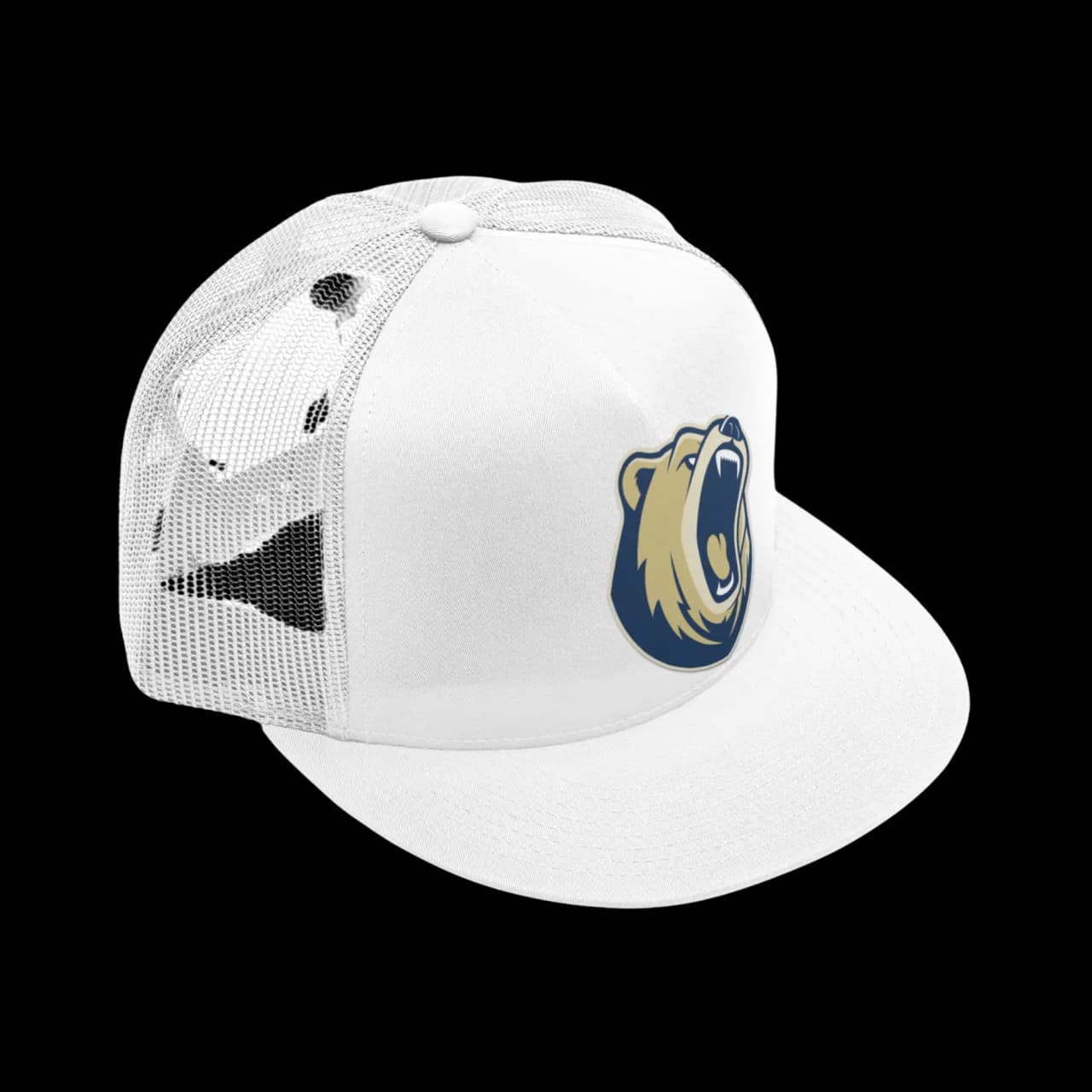 ROAR Graphic Hat